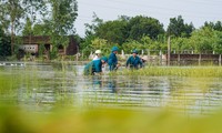  Hà Nội: Kiên quyết không để người dân quay lại sinh sống ở nơi mất an toàn, nguy hiểm 