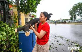 Người Hà Nội hối hả dọn dẹp sau bão Yagi