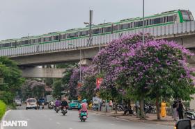 Bức tường phố Lò Sũ và những địa điểm khiến giới trẻ Việt xếp hàng chụp ảnh  第10张