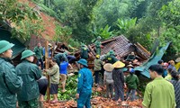  Nước sông Lam dâng cao, &apos;ốc đảo&apos; Hồng Lam ngập sâu nửa mét 