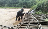  Nước sông Lam dâng cao, &apos;ốc đảo&apos; Hồng Lam ngập sâu nửa mét 