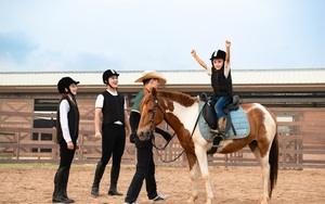 Loài ngựa cao nhất thế giới chào đời tại Vinpearl Horse Academy