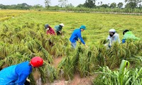  Chiến sĩ công an Cao Bằng hỗ trợ người dân vùng sạt lở, thiệt hại do bão số 3 第13张