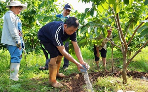 Tâm sự của một nông dân xuất sắc ở Quảng Ninh bị mất 30 tỷ đồng sau bão Yagi: Tôi sẽ khởi nghiệp lần hai  第15张