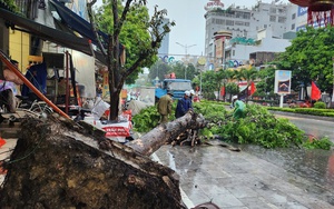 HTX dịch vụ cơ giới hóa nông nghiệp Đông Tiến là tiêu biểu năm 2024 của Thanh Hóa  第10张