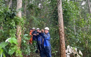 Thủ tướng yêu cầu công khai xử lý tổ chức, cá nhân nào lợi dụng thiên tai để thu lời bất chính  第3张