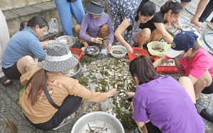 Quảng Bình: Đang ngồi nhậu, U70 lấy dao chém bạn rượu tử vong