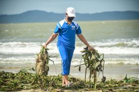 Cảm phục những bạn trẻ &quot;đội nắng&quot; vớt bèo dạt vào bờ biển Đà Nẵng sau bão số 4  第10张