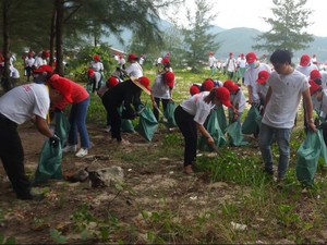 Cảm phục những bạn trẻ &quot;đội nắng&quot; vớt bèo dạt vào bờ biển Đà Nẵng sau bão số 4  第16张