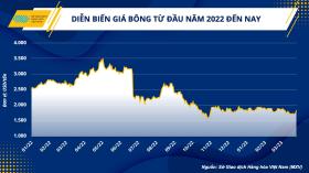 Cung - cầu bông ổn định, tạo điều kiện để ngành dệt may trở lại vị thế vốn có