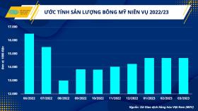 Cung - cầu bông ổn định, tạo điều kiện để ngành dệt may trở lại vị thế vốn có