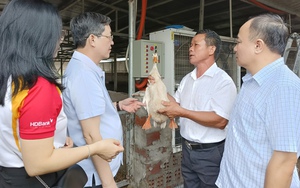 Chủ tịch UBND tỉnh Quảng Ninh Cao Tường Huy: &quot;3 ngày phải làm sạch vịnh Hạ Long&quot;