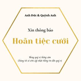  Anh Đức hoãn tiệc cưới, phim &quot;Conan&quot; hủy họp báo