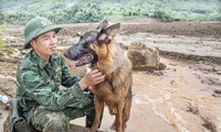  Trẻ em chơi đùa với chó rất tốt cho sức khỏe đường ruột sau này 