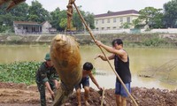  Gỗ được trục vớt dưới ruộng, đấu giá 3 lần không ai mua 