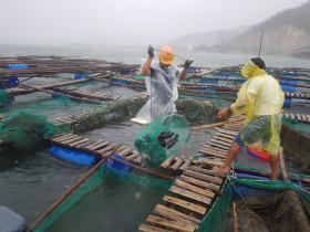 Cảnh báo nguy cơ lũ quét, sạt lở đất tại Khánh Hòa, Phú Yên