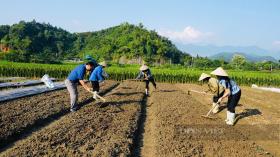 Lào Cai, Yên Bái: Dừng các cuộc thanh, kiểm tra tập trung khắc phục bão số 3, đề xuất miễn học phí năm học 2024-2025