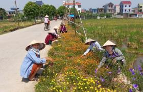 Huyện Sóc Sơn: niềm vui đạt chuẩn nông thôn mới kiểu mẫu ở xã Quang Tiến