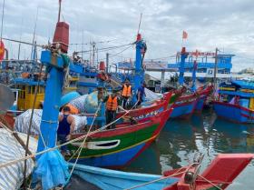  Bão Trà Mi khó lường, Quảng Ngãi còn gần 350 tàu cá trên biển 