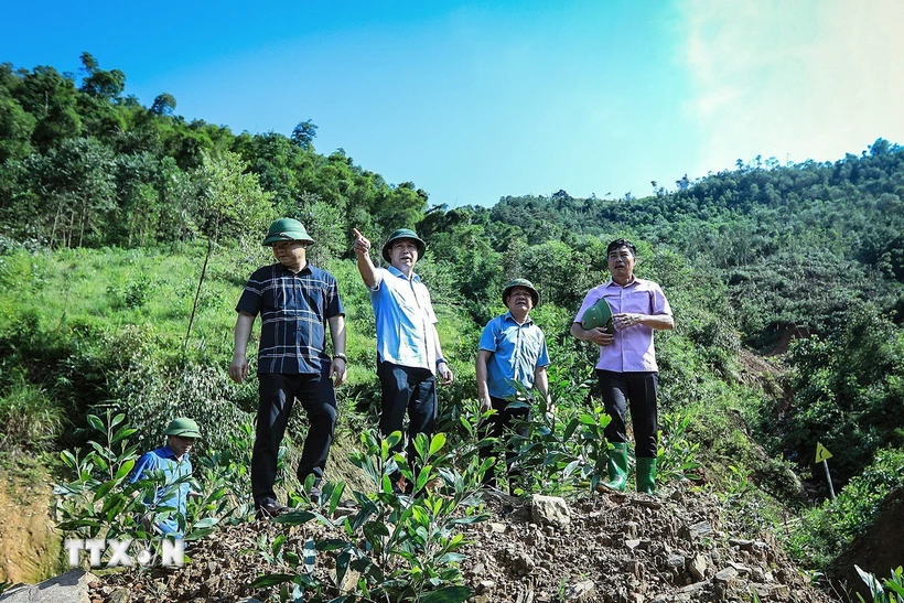  Sơ tán 108 người dân tại nhiều điểm có nguy cơ sạt lở ở Hòa Bình 