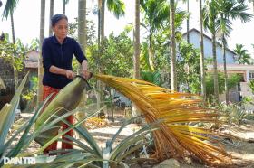 Phiên chợ độc đáo, người buôn khấm khá với thứ từng bỏ đi, rụng đầy vườn