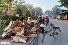 Phiên chợ độc đáo, người buôn khấm khá với thứ từng bỏ đi, rụng đầy vườn