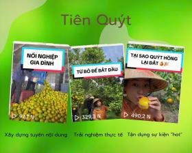 Cuộc chơi nào dành cho nông sản khi “lên sàn”: Lập kênh TikTok chia sẻ chuyện bán cam, bán quýt (Bài 1)