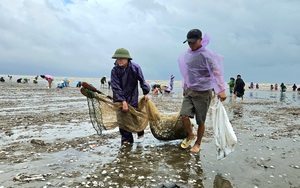 Làm giàu từ đặc sản vạn người mê, một hợp tác xã ở Nghệ An đang &quot;ăn nên làm ra&quot;, dân có thêm tiền