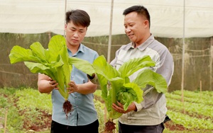 &quot;Nhận lương tốt&quot; chục triệu mỗi tháng nhưng người dân nuôi tằm một xã ở Lâm Đồng “sợ” loại bệnh này  第12张