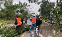  Bản tin 8H: Học viện Quân y có tân giám đốc 